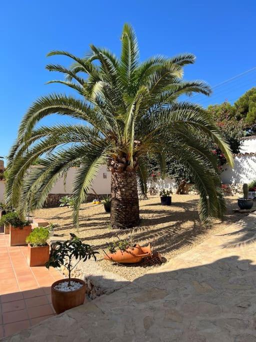 Casa Serenita Charming Villa With Swimming Pool Jávea Eksteriør bilde